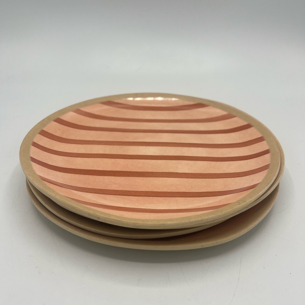 Target Tan and Brown Striped Dinner Plates